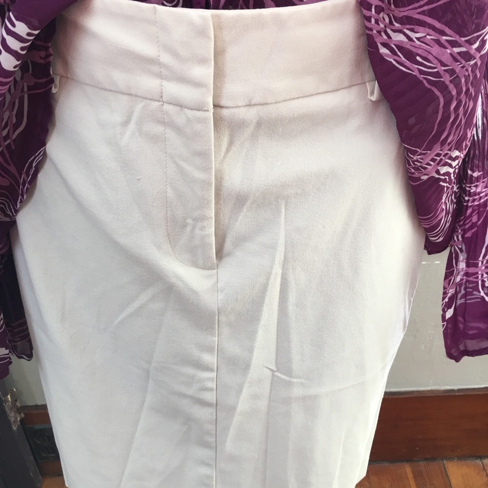The Limited Short Skirt
